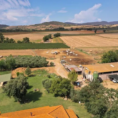 Farm stay Al Girasole *