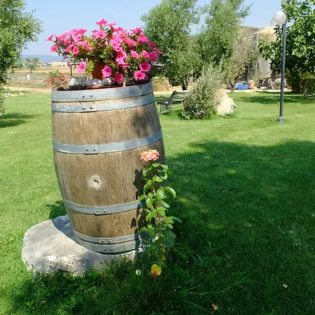 Farm stay Al Girasole San Donato (Tuscany)